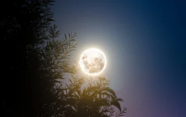 القمر  المنير  ونوره