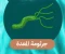 صورة مقال عندما تصبح المعده بيئه خطره