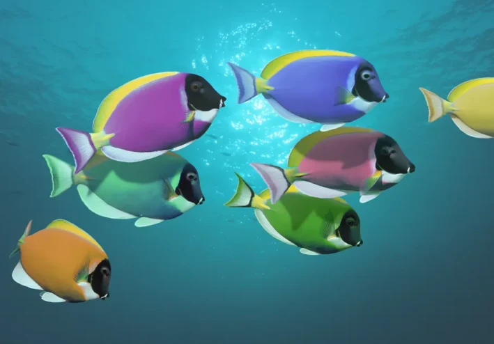 أسماك الزينة وسمكة تانج Tang و Surgeonfish