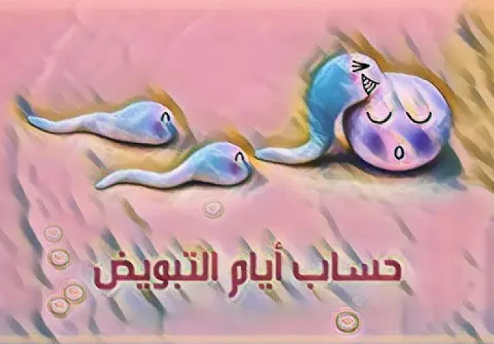 حساب أيام التبويض