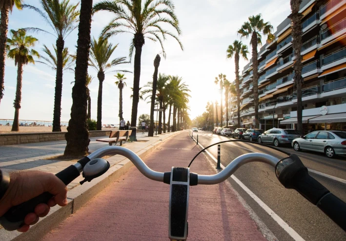 The Power of Sports: How Physical Activity Shapes Health, Character, and Society