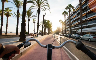 The Power of Sports: How Physical Activity Shapes Health, Character, and Society