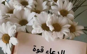  قوة الدعاء لما تقول يا رب بصدق حياتك بتتغير❤️