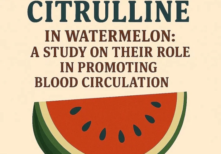 اللايكوبين والسيترولين في البطيخ: دراسة حول دورهما في تعزيز الدورة الدموية