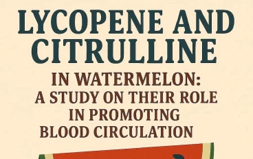 اللايكوبين والسيترولين في البطيخ: دراسة حول دورهما في تعزيز الدورة الدموية