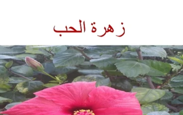 خذ حذرك؛ زهور الحب قد تكون قاتلة.