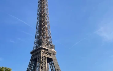 الطبق الرئيسي في فرنسا: مزيج من الفن والمذاق الرفيع