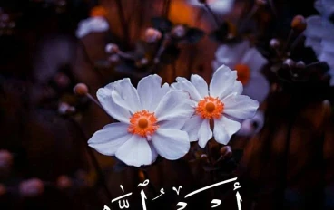 العمل عبادة ونيه صادقه.