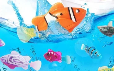 تربية اسماك الزينة وطرق الرعاية والحفاظ عليها