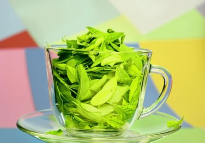 ☕ الشاي الأخضر: سر الصحة والحيوية في كل كوب
