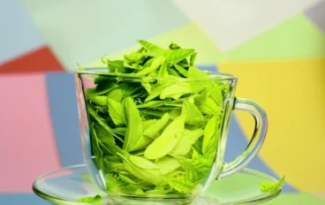 ☕ الشاي الأخضر: سر الصحة والحيوية في كل كوب