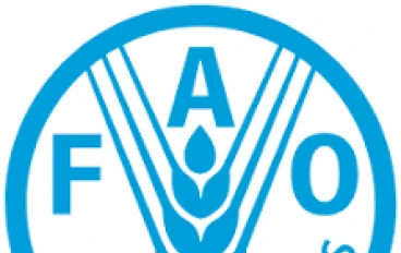 كورس منظمه الFAO و الشهاده المعتمده و حقيقه ربح ال700$ بعد الانتهاء من الكورس