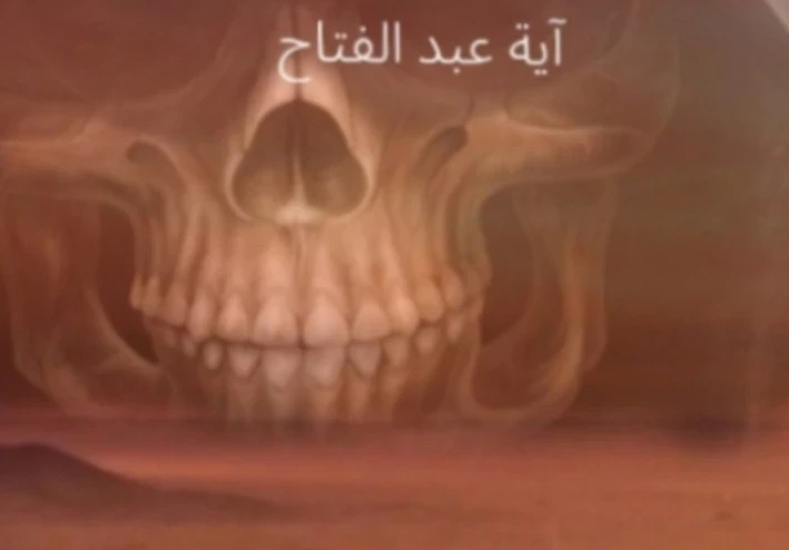 رواية الواحة الملعونة الفصل العاشر آية عبد الفتاح