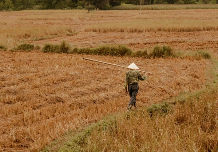 أصول علم النفس الزراعي: تصنيف وتحليل لأهم 100 مصدر مرجعي في دراسة سلوك المزارع والتنمية الريفية
