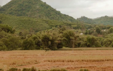 أصول علم النفس الزراعي: تصنيف وتحليل لأهم 100 مصدر مرجعي في دراسة سلوك المزارع والتنمية الريفية