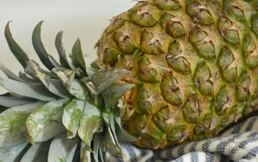 سر الأناناس: القيمة الغذائية لعصيره ودوره كإضافة فعالة لبرامج التغذية والعناية بالجسم