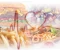 Processed foods that people over 40 should stop eating