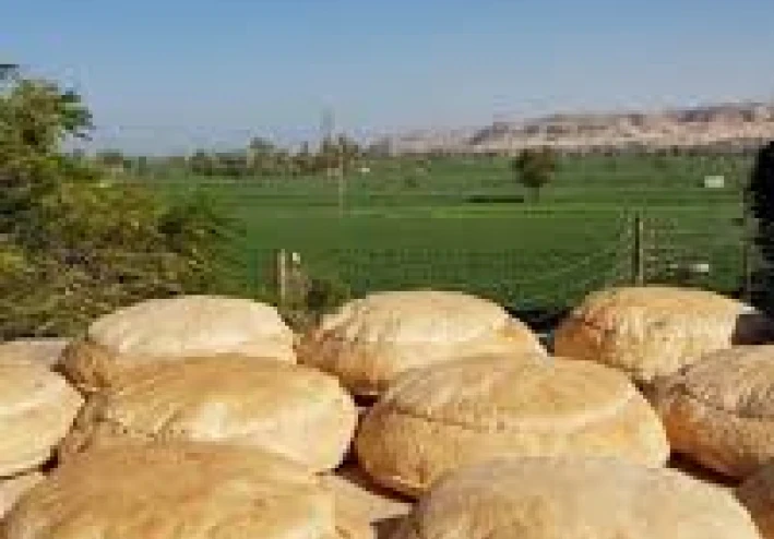 سر العيش الشمسي في الصعيد:   خبز البركة الذي تخمره أشعة الشمس