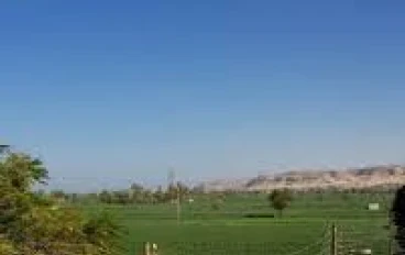 سر العيش الشمسي في الصعيد: خبز البركة الذي تخمره أشعة الشمس