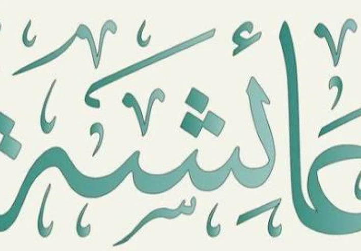 السيدة عائشة رضي الله عنها أم المؤمنين