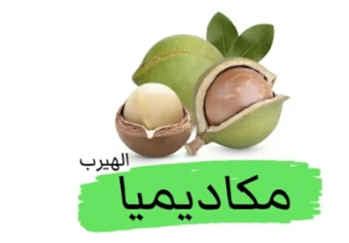 ملكه المكسرات المكاديميا