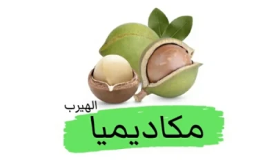ملكه المكسرات المكاديميا