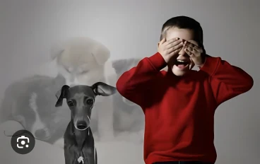 بين الخوف والسلامة: الحاجة المُلحة لإدارة انتشار الكلاب الضالة بطرق فعالة وإنسانية