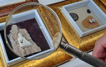 تحليل الحمض النووي للرفات: منهجية الطب الشرعي في استخلاص الـ DNA 