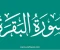 صورة مقال أسرار سورة البقرة.. السورة التي تُغيّر حياتك وتطرد الشيطان من بيتك  اسرار روحية 