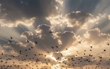 التوكل على الله: نصف الدين وسر الطمأنينة في زمن المتغيرات