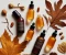 صورة مقال  10 Essential Fall Skincare Rules – Switch Up Your Routine to Shine for the Beauty Season