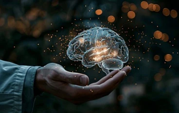 مفتاح للعقل البشري وشخصية أفضل 