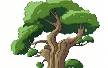 شجره المعجزات المورينجا