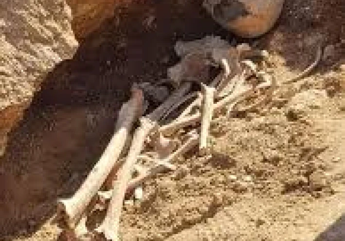 قصة اغرب من الخيال   من وقائع الطب الشرعى المصرى