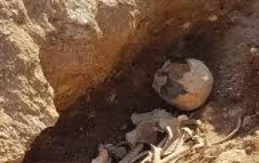 قصة اغرب من الخيال   من وقائع الطب الشرعى المصرى 