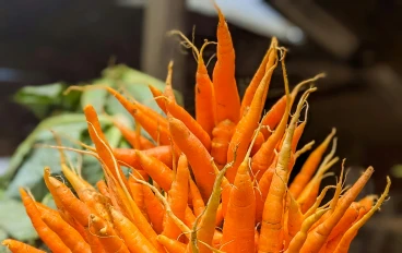 أفضل 7 أطعمة للحفاظ على صحة القلب وتعزيز نشاطه -نصائح غذائية صحية.