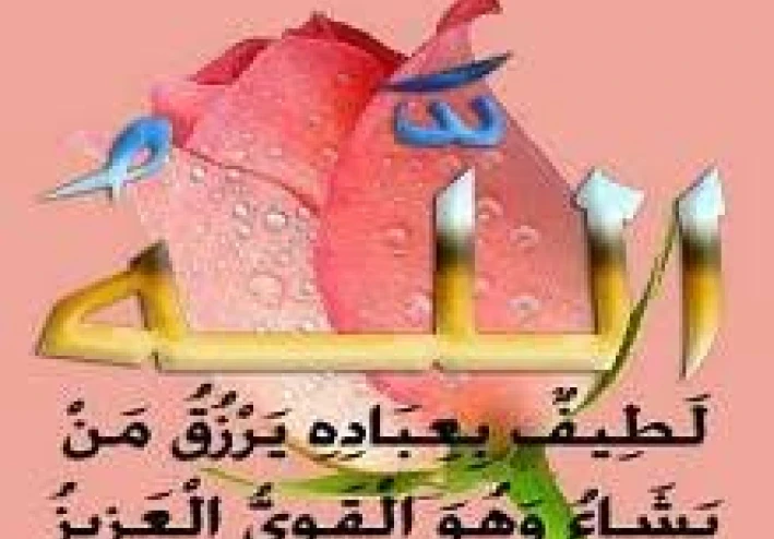 لماذا خلقنا الله وأرسل لنا الرسل؟ | الغاية من خلق الإنسان ورسالة الأنبياء**