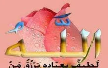 لماذا خلقنا الله وأرسل لنا الرسل؟ | الغاية من خلق الإنسان ورسالة الأنبياء**