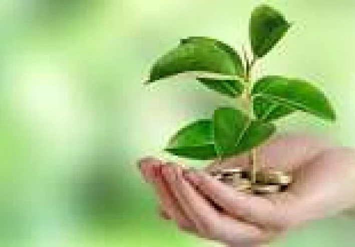 البيئة وكيفية حمايتها