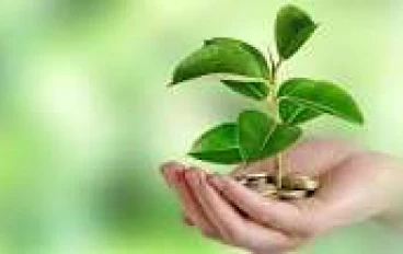 البيئة وكيفية حمايتها