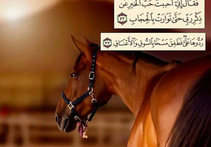 سيدنا سليمان عليه السلام.. نبيّ الحكمة الذي علّمنا الرحمة والعدل من قصة النمل والخيل