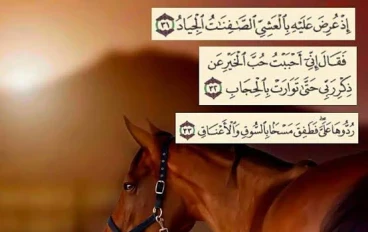 سيدنا سليمان عليه السلام.. نبيّ الحكمة الذي علّمنا الرحمة والعدل من قصة النمل والخيل