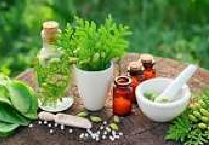 ماهي عشبة البابونج