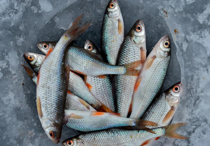 🧠 تغذية الدماغ: أطعمة تساعد على التركيز وتحسين الذاكرة