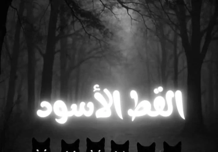 انتقام القط الأسود