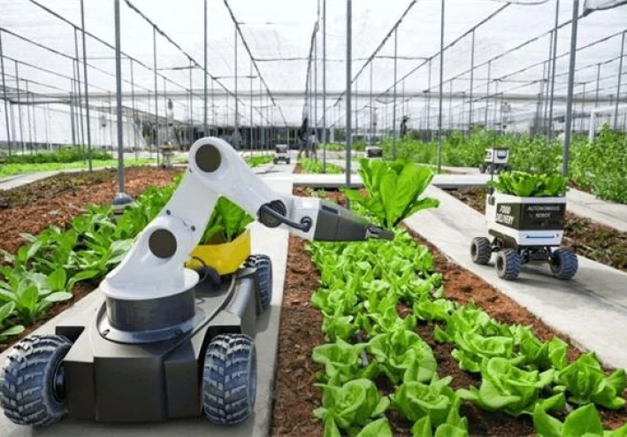 الزراعة الذكية كمدخل استراتيجي لتحقيق الأمن الغذائي في ظل التغيرات المناخية