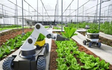 الزراعة الذكية كمدخل استراتيجي لتحقيق الأمن الغذائي في ظل التغيرات المناخية