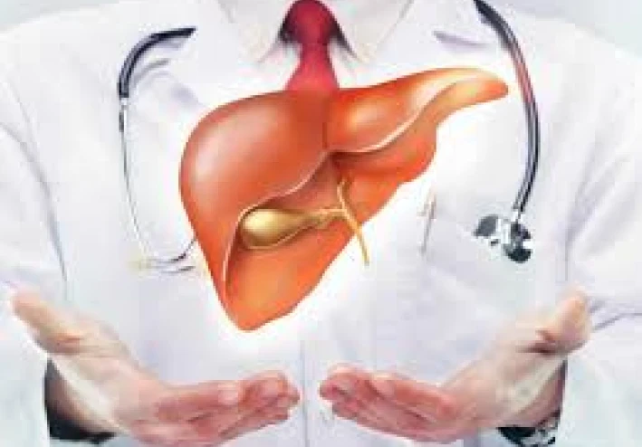 أسرار المحافظة على صحة كبدك بعد الأربعين   دليلك الذهبي لحياة نشيطة بدون أمراض