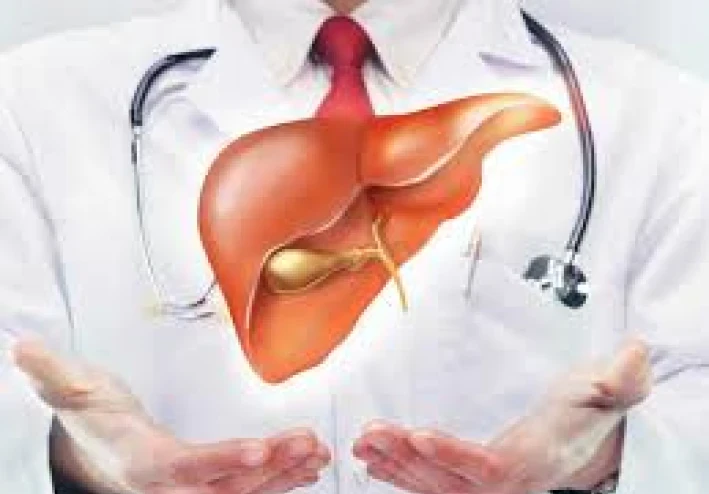 أسرار المحافظة على صحة كبدك بعد الأربعين   دليلك الذهبي لحياة نشيطة بدون أمراض