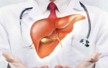 أسرار المحافظة على صحة كبدك بعد الأربعين   دليلك الذهبي لحياة نشيطة بدون أمراض